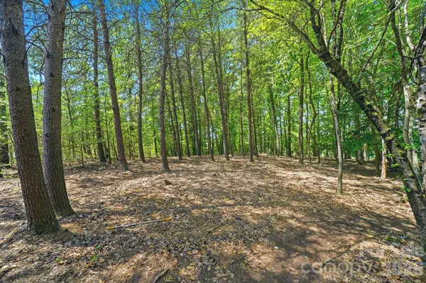 1324 Reflection Pointe BLVD, Belmont, NC 28012