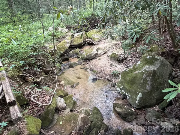 141 Hemlock LN #3, Lake Lure, NC 28746