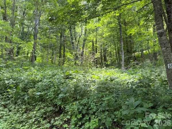 Lot 33 Toi TRL #33, Maggie Valley, NC 28751