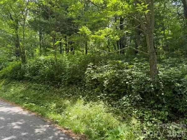 Lot 33 Toi TRL #33, Maggie Valley, NC 28751