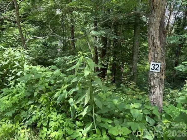 Lot 32 Toi TRL #32, Maggie Valley, NC 28751