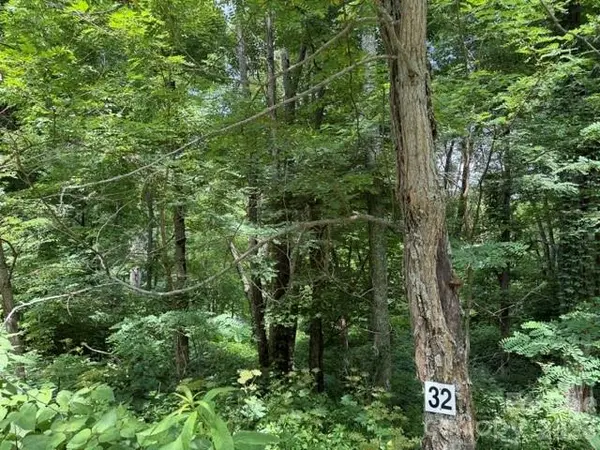 Lot 32 Toi TRL #32, Maggie Valley, NC 28751