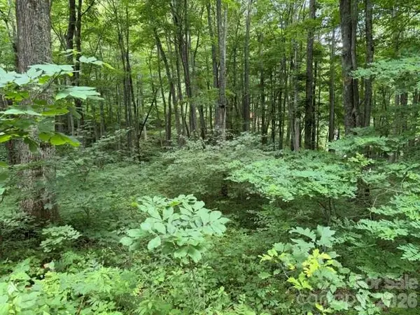Lot 35 Odalu TRL #35, Maggie Valley, NC 28751