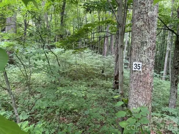 Lot 35 Odalu TRL #35, Maggie Valley, NC 28751