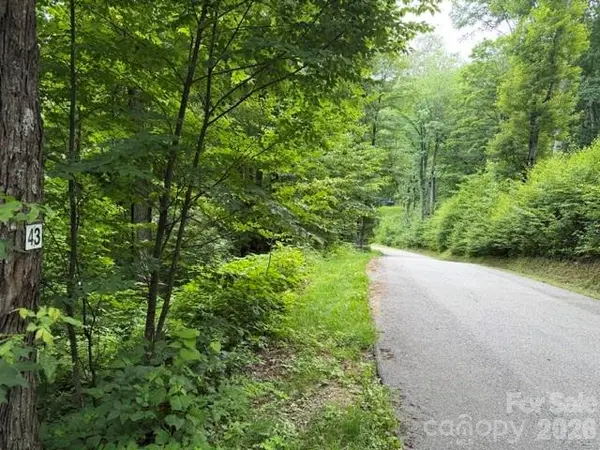 Lot 43 Gata TRL #43, Maggie Valley, NC 28751