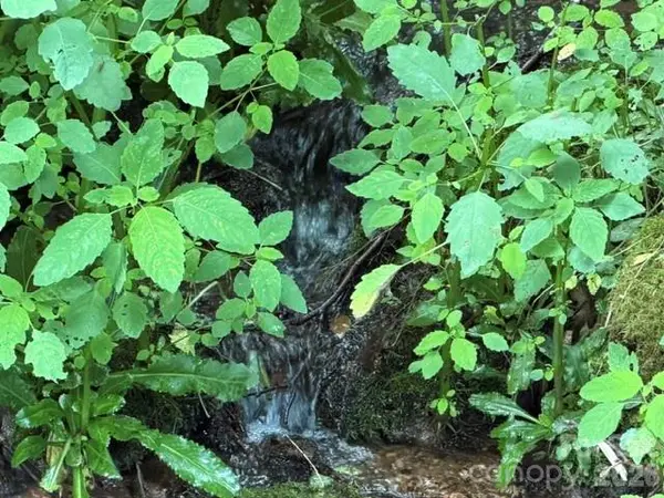 Lot 38 Yanasa TRL #38, Maggie Valley, NC 28751