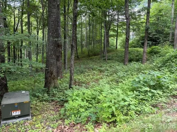Lot 59 Odalu TRL #59, Maggie Valley, NC 28751