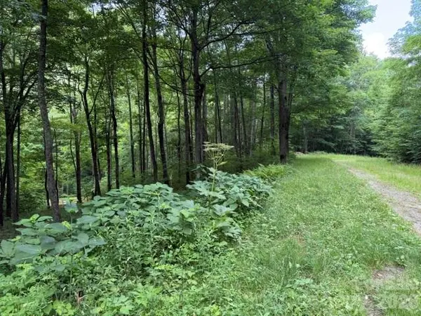 Lot 59 Odalu TRL #59, Maggie Valley, NC 28751