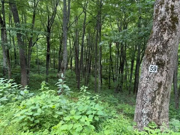 15 Lots Odalu TRL, Maggie Valley, NC 28751