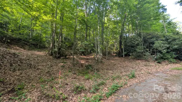 00 Chestnut WALK #3,4,5, Waynesville, NC 28786