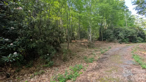 00 Chestnut WALK #3,4,5, Waynesville, NC 28786