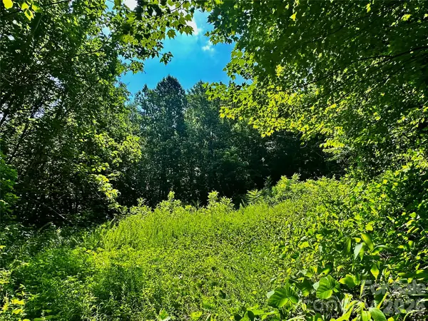 75 Fork Creek RD, Saluda, NC 28773