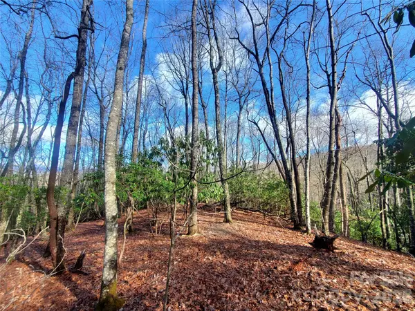 TBD Skye DR #803a & 803b, Pisgah Forest, NC 28768