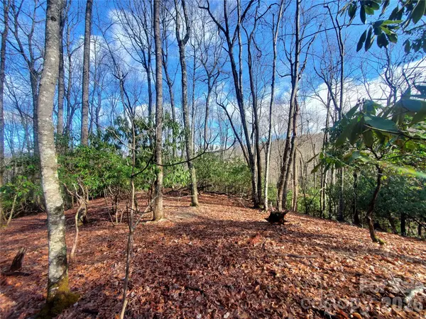 TBD Skye DR #803a & 803b, Pisgah Forest, NC 28768