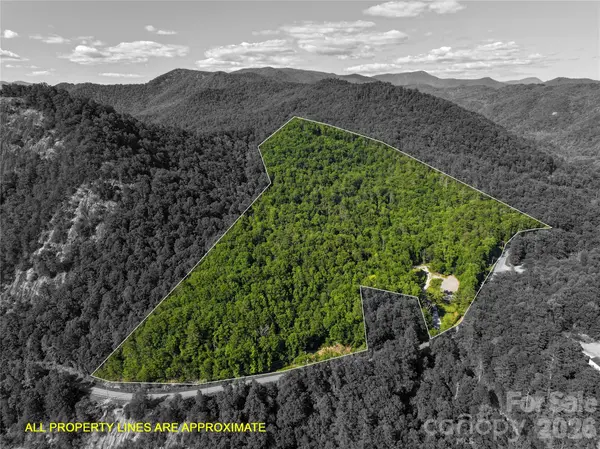 4017 Canada RD, Tuckasegee, NC 28783