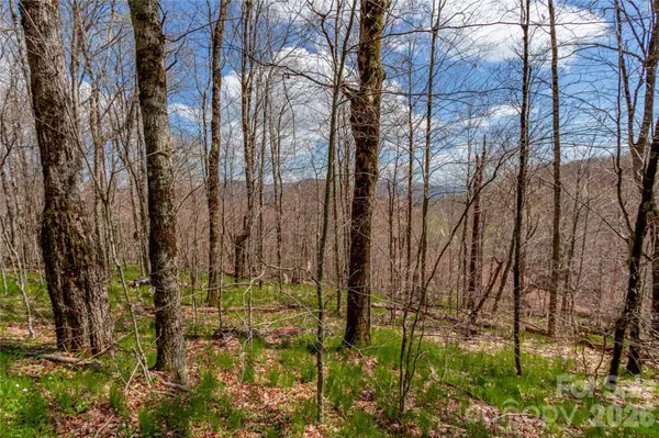lots 4,5 & 7 Mule Trail DR, Bakersville, NC 28705