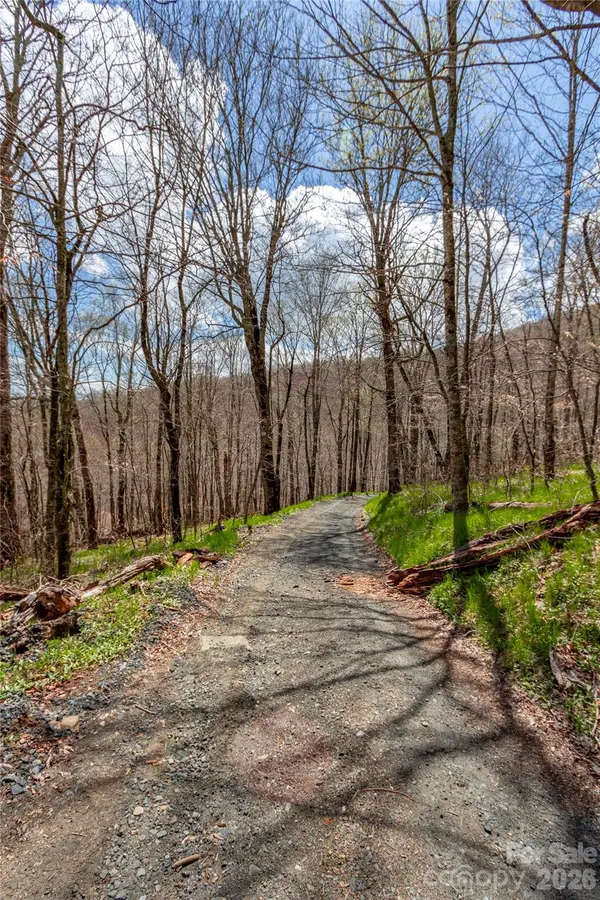 lots 4,5 & 7 Mule Trail DR, Bakersville, NC 28705