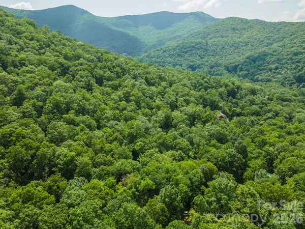 212 Harmony LN, Montreat, NC 28757