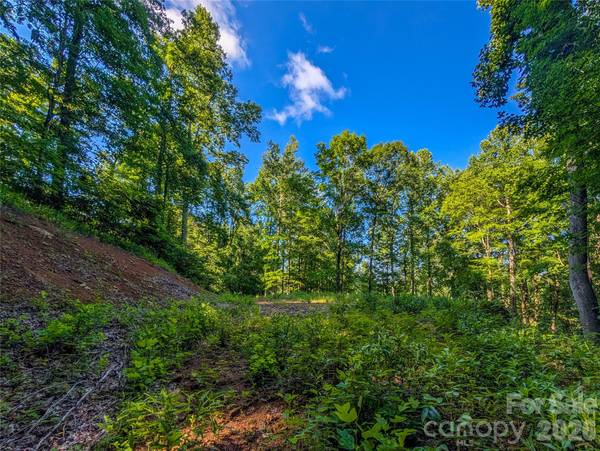 000 Amber Ranches None #47, Bakersville, NC 28705