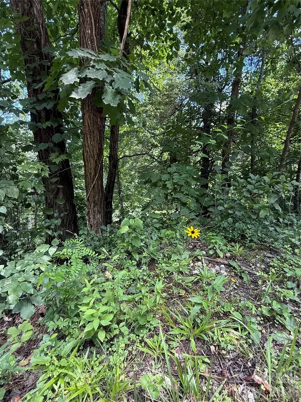 1 Rixhaven DR, Saluda, NC 28773