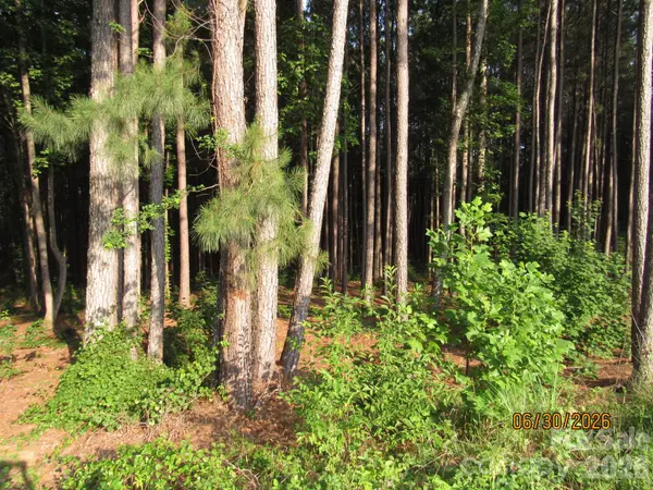 00 Church RD #Lot 11, Taylorsville, NC 28681