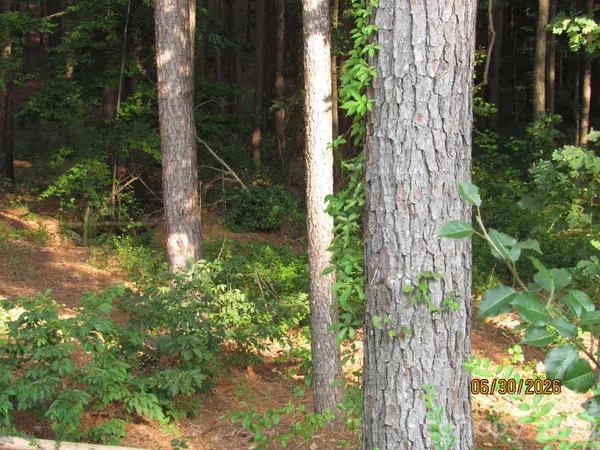00 Church RD #12, Taylorsville, NC 28681