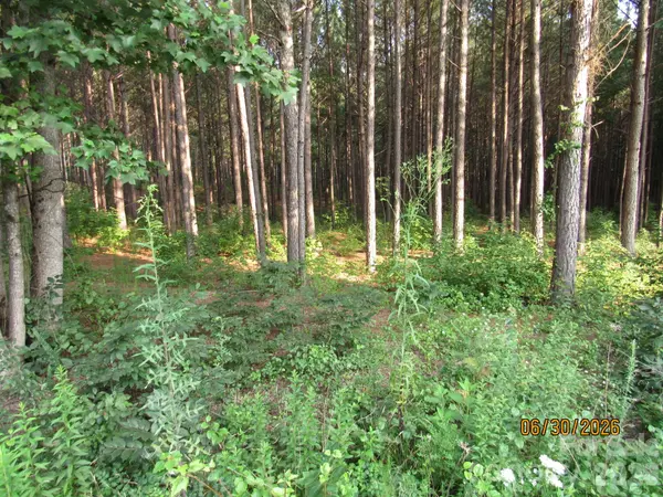 00 Church RD #13, Taylorsville, NC 28681
