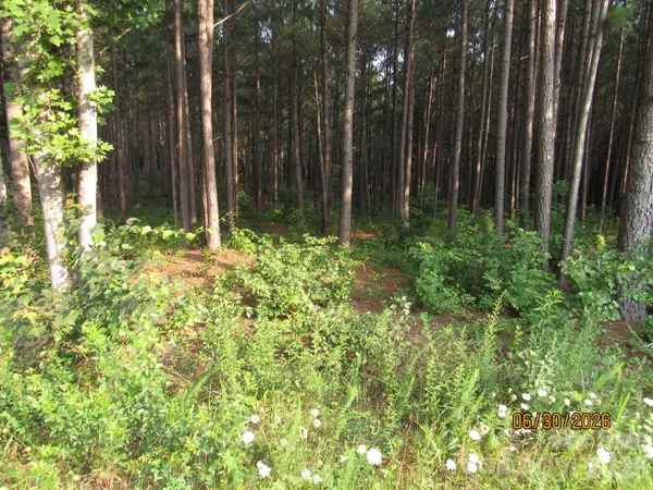 00 Church RD #Lot 14, Taylorsville, NC 28681