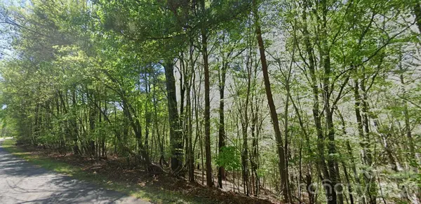 0 Ridge LN #all of 6 portion of 7, Wilkesboro, NC 28697
