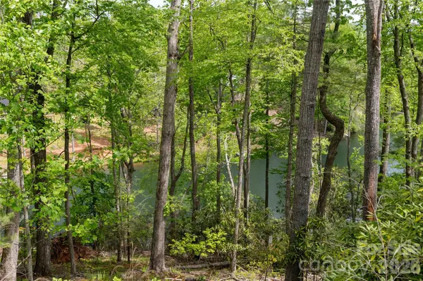 00 Deer Park Lake RD, Spruce Pine, NC 28777