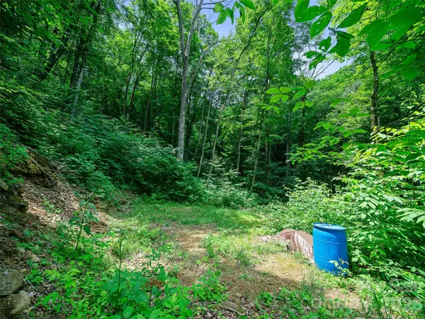 000 Ogles Gap RD, Burnsville, NC 28714