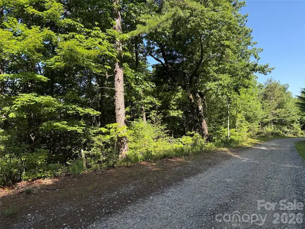TBD Blue Rock RD #171 & 172B, Purlear, NC 28665