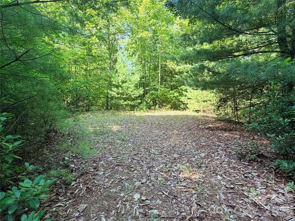 TBD Blue Rock RD #171 & 172B, Purlear, NC 28665