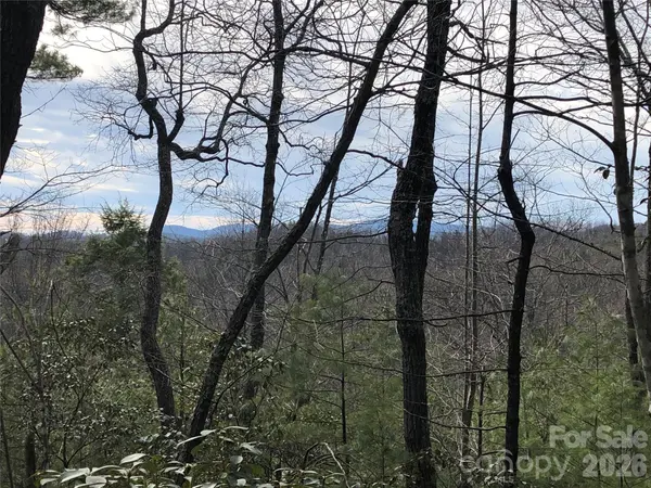 TBD Blue Rock RD #171 & 172B, Purlear, NC 28665