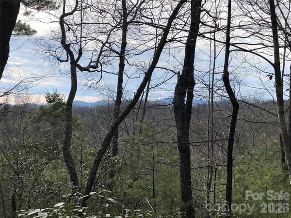 TBD Blue Rock RD #171 & 172B, Purlear, NC 28665