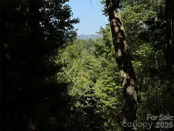 TBD Blue Rock RD #171 & 172B, Purlear, NC 28665