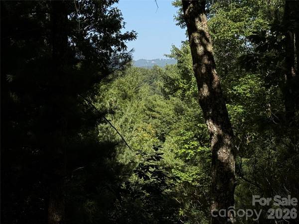 TBD Blue Rock RD #171 & 172B, Purlear, NC 28665