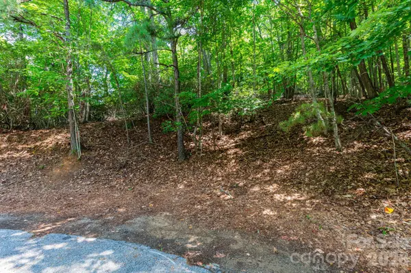50 Cedar DR, Mills River, NC 28759