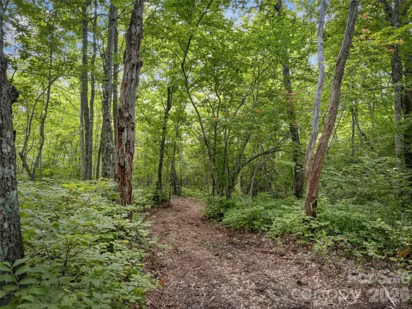 Lot 42 Spencer LN #MR42, Lake Toxaway, NC 28747