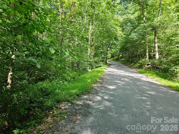 0 Sandpiper AVE #163, Lake Lure, NC 28746