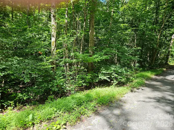 0 Sandpiper AVE #163, Lake Lure, NC 28746