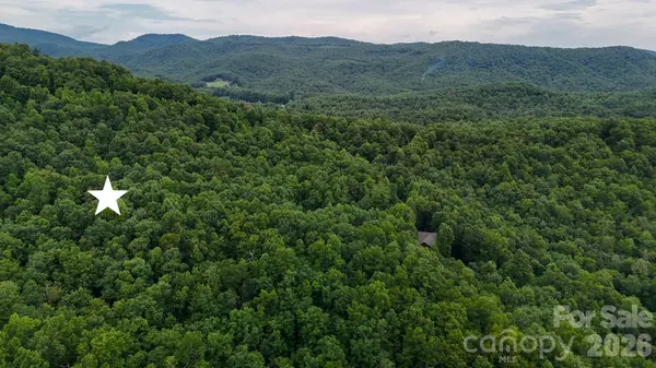 364 Big Bear TRL #24, Zirconia, NC 28790