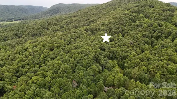 364 Big Bear TRL #24, Zirconia, NC 28790