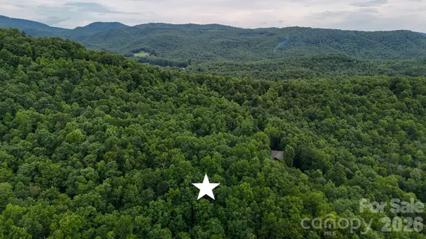 365 Big Bear TRL #25, Zirconia, NC 28790