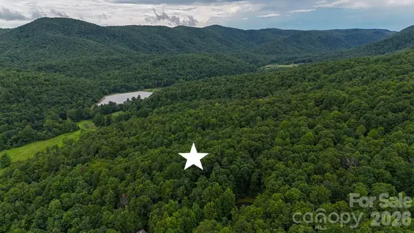 365 Big Bear TRL #25, Zirconia, NC 28790