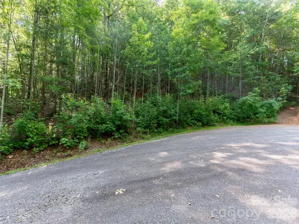 00 Rhododendron DR #15 & 16, Saluda, NC 28773