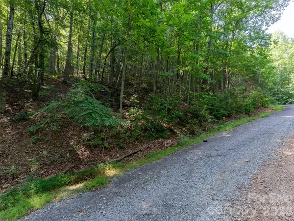 00 Rhododendron DR #15 & 16, Saluda, NC 28773