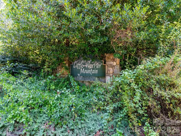 00 Rhododendron DR #15 & 16, Saluda, NC 28773