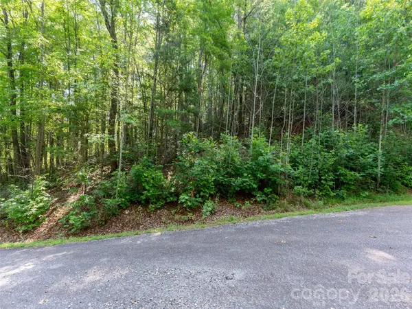 00 Rhododendron DR #15 & 16, Saluda, NC 28773