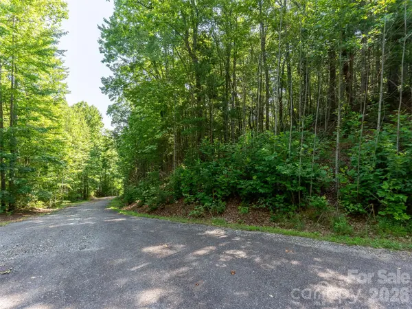 00 Rhododendron DR #15 & 16, Saluda, NC 28773